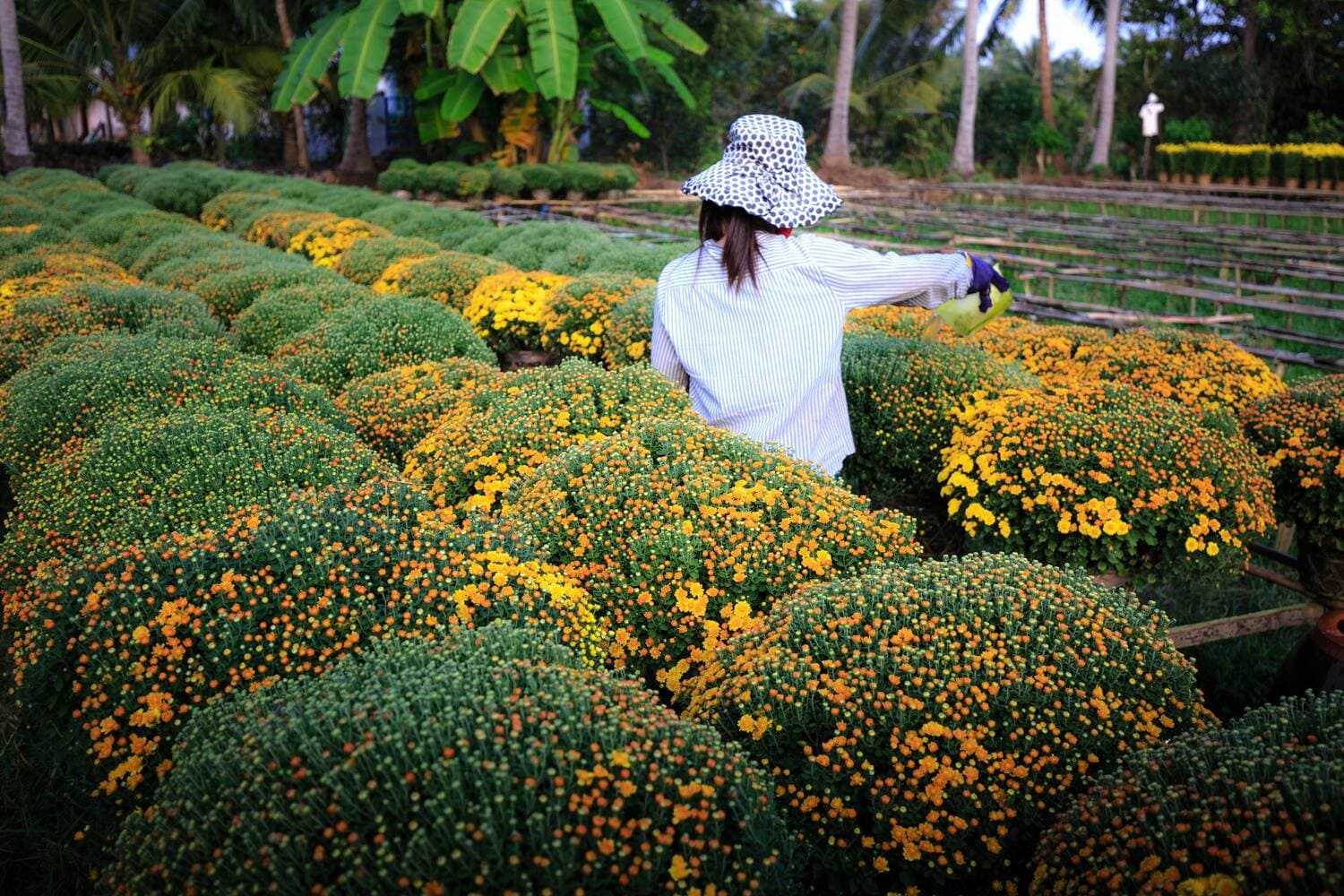 Key Benefits: Access to seasonal and permanent staff, expertise in outdoor maintenance, improved project completion rates, flexible labor solutions.